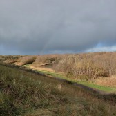 Nollebos17 november 2025 3.jpg