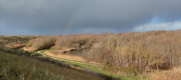 Nollebos17 november 2025 3.jpg