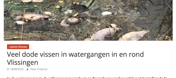 Nieuwsartikel dode vissen.png
